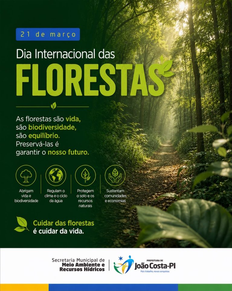 21 de março: Dia Internacional das Florestas destaca papel vital dos ecossistemas florestais