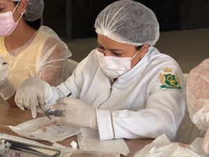 Secretaria de Saúde de João Costa capacita enfermeiras em sutura e investe na qualificação dos profissionais da rede municipal.